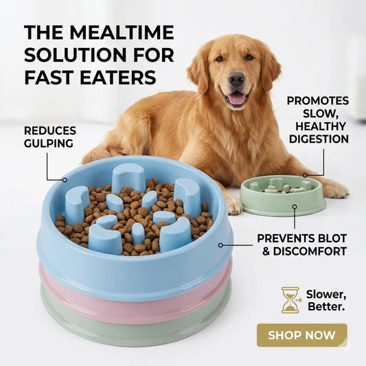 Pet Slow Feed Bowl for Dogs to Prevent Choking LUBHUX
