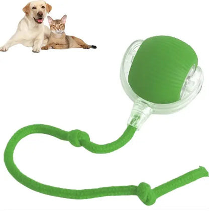 Smart Rolling Pet Ball LUBHUX