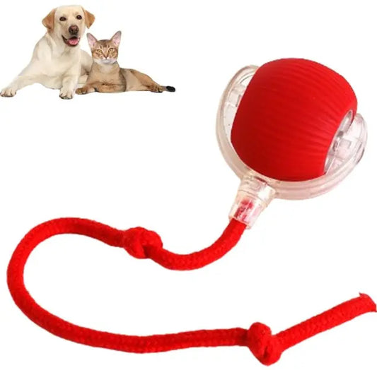 Smart Rolling Pet Ball LUBHUX