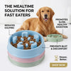 Pet Slow Feed Bowl for Dogs to Prevent Choking LUBHUX
