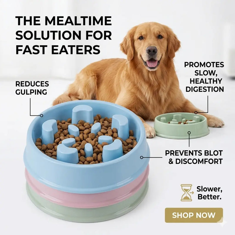 Pet Slow Feed Bowl for Dogs to Prevent Choking LUBHUX